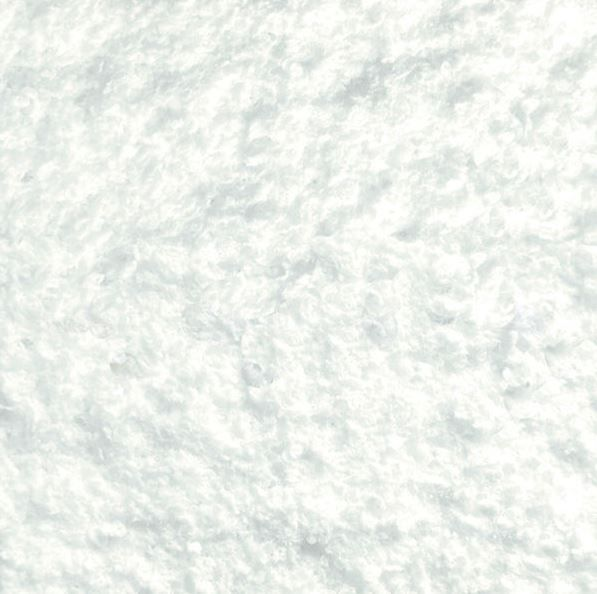 Arctic White